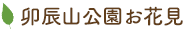 卯辰山公園お花見